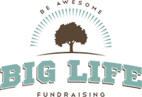 Big Life Fundraising