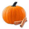 Pumpkin Icon with cinnamon sticks
